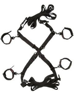 System Kajdanek Scandal Over The Bed Cross